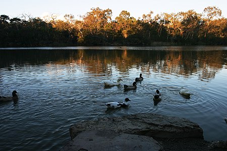 BlackburnLakeVicAU