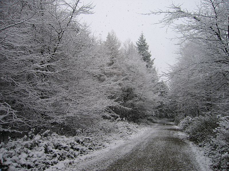 File:BlackhillRoadSnow.JPG