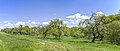 * Nomination Southwestern corner of "Bretzenstein orchard" protected landscape element --Plozessor 03:47, 11 June 2024 (UTC) * Promotion  Support Good quality.--Agnes Monkelbaan 04:11, 11 June 2024 (UTC)