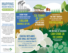 A summary of carbon storage in wetland ecosystems. BlueCarbon InfoGraph.png