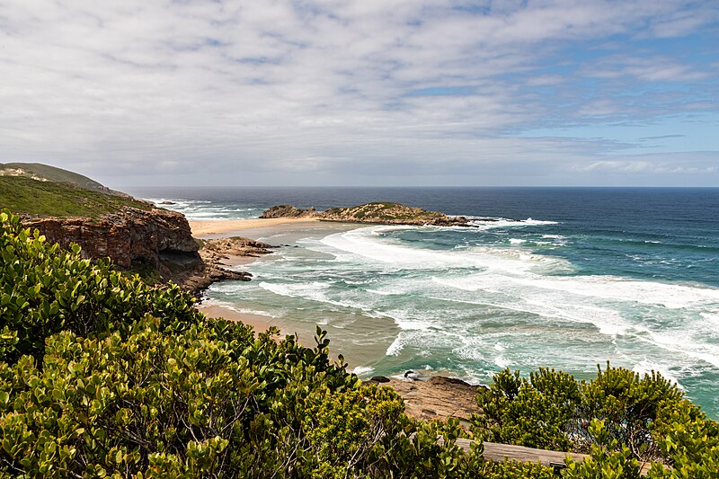 File:Bosluiskop (ZA), Robberg Nature Reserve, Küste -- 2024 -- 2202.jpg