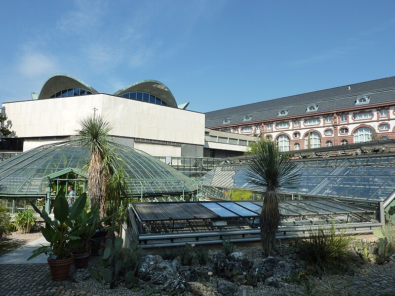 File:Botanischer Garten der Universität Basel - Ansicht 3.jpg