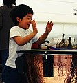 Boy playing timpani (493668191).jpg