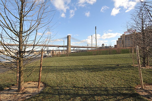 Pier 1, Brooklyn Bridge Park (January 2010)