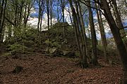 Blockschutt und Buchenwald am EbersbergLSG 2631001 Hessische Rhön