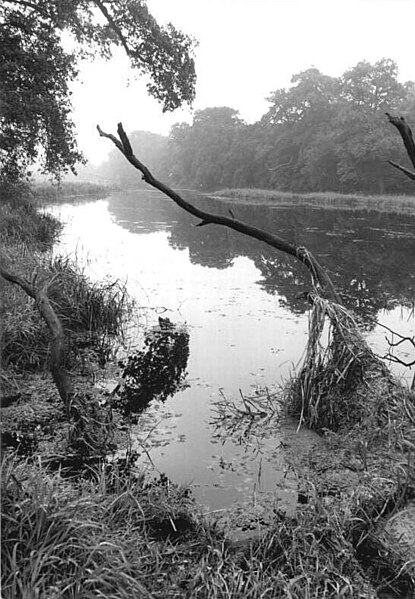 Datei:Bundesarchiv Bild 183-Z1024-001, Naturschutzgebiet Steckby-Lödderitzer Forst.jpg