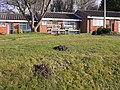 Bungalows, benches and molehills - geograph.org.uk - 1702993.jpg