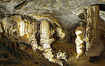 Postojna-grottan är ett av världens största och vackrast utsmyckade droppstenssystem, samt ett av Sloveniens främsta turistmål.