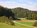 Schloßberg mit Burgfelsen von Osten