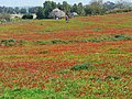 Near Or HaNer, Israel