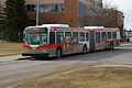 CT articulated bus.