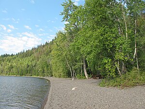 Shore area in Canim Beach Provincial Park