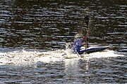 Deutsch: Kanusport bei den Olympischen Jugendspielen 2018; Tag 10, 16. Oktober 2018; Kleines Finale um die Bronzemedaille Jungen Einer-Kajak-Slalom: Tom Bouchardon (Frankreich) - George Snook (Neuseeland) English: Canoeing at the 2018 Summer Youth Olympics at 16 October 2018 – Boys' K1 slalom Bronze Medal Race: Tom Bouchardon (France) - George Snook (New Zealand)