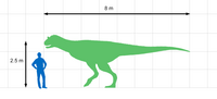 Carnotaurus Size Chart