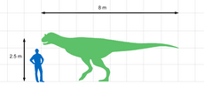 Carnotaurus Size Chart.png