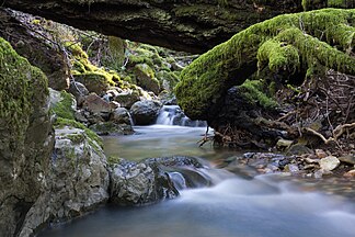 Cataract Creek