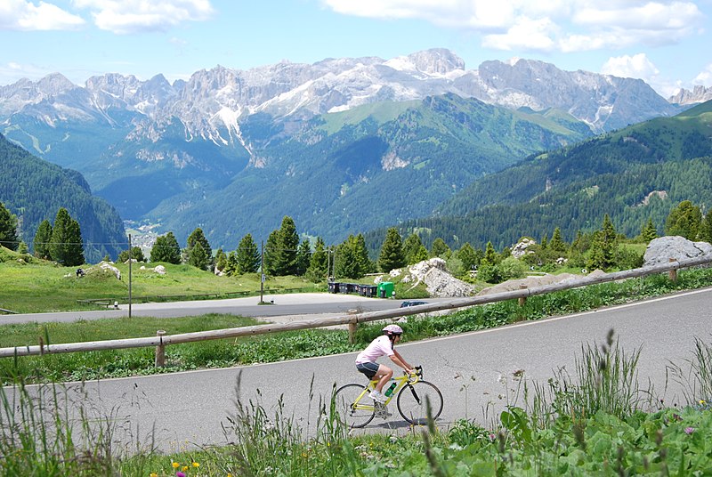 File:Catinaccio da Passo Pordoi.jpg