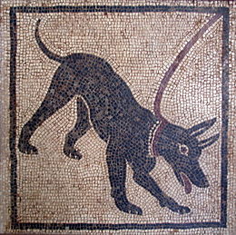 Cave canem.JPG