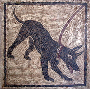 File:Cave canem.JPG