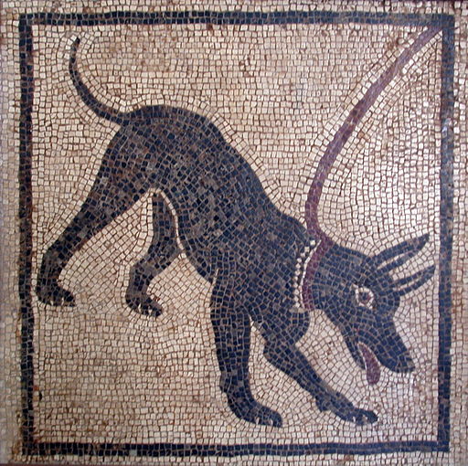 Cave canem