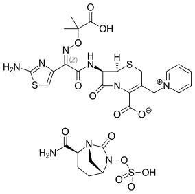 Ceftazidime/avibactam pharmaceutical drug