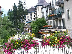 Chamonix, l'Arve 100 0017.JPG