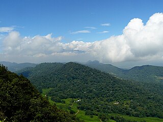 Chicoral, Valle del Cauca Region in Valle del Cauca Department, Colombia