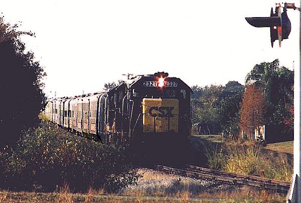 CSX locomotives pulling a circus train in Safety Harbor, Florida, on the Clearwater Subdivision in 1992