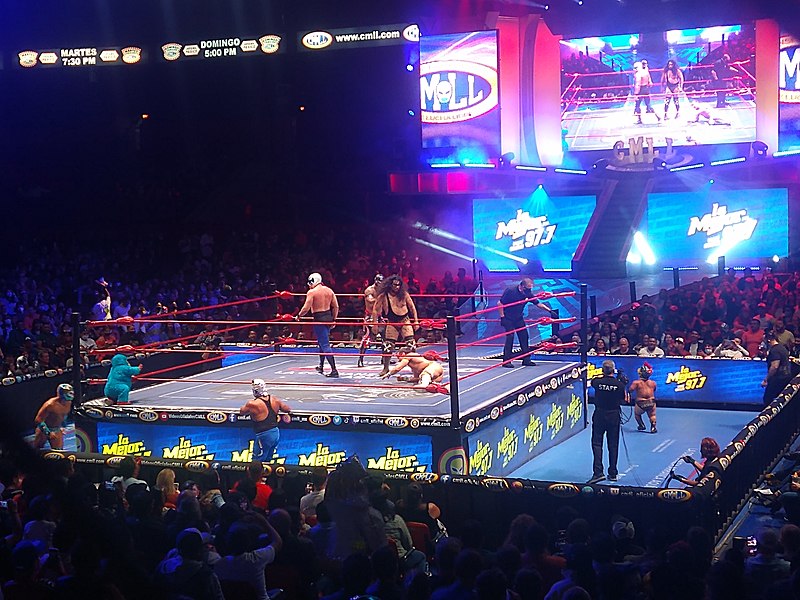 File:Combate en una función de lucha libre en la Arena México 10.jpg