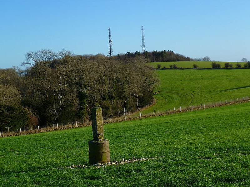 File:Concrete marker on Sutton Down - geograph.org.uk - 2748463.jpg