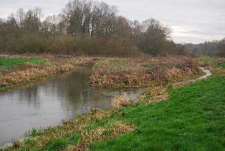 The confluence of the Wingham River in the Little Stour