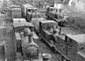 Steam locomotives stored outside the station 17 July 1955.