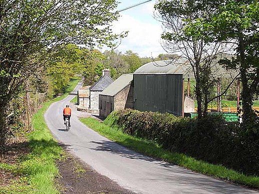 A typical country lane near Carrigallen.
