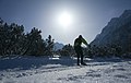 * Nomination Cross-country skiing in Alps. --PetarM 10:39, 10 February 2012 (UTC) * Promotion Good quality. --Ralf Roletschek 10:57, 12 February 2012 (UTC)