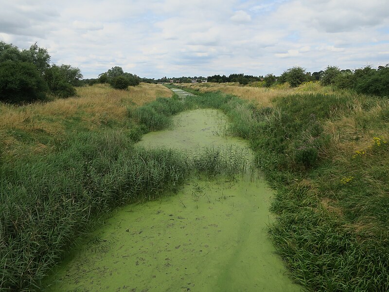 File:Cut-off Channel near Lakenheath - geograph.org.uk - 5111554.jpg