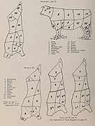 Cuts of beef, illustration from The Encyclopedia of Food by Artemas Ward.jpg