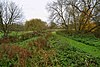 Cuttle Brook, Thame, Oxon (geograph 5610105).jpg