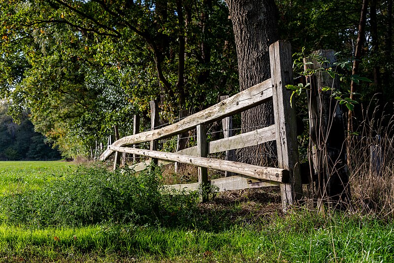 File:Dülmen, Kirchspiel, Börnste, Gatter an einer Wiese -- 2022 -- 4594.jpg