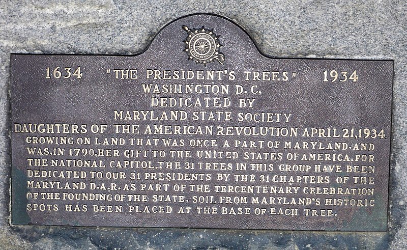 File:DAR plaque by Matthew Bisanz.JPG