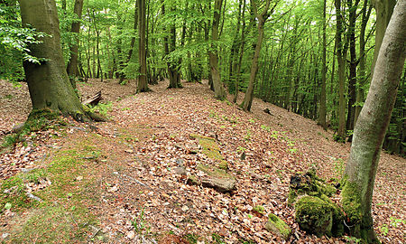 Dehmer Burg Wallhang