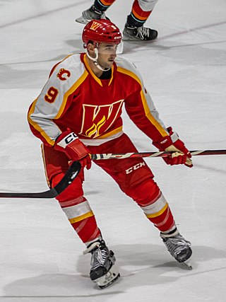 <span class="mw-page-title-main">Dennis Gilbert (ice hockey)</span> American ice hockey player