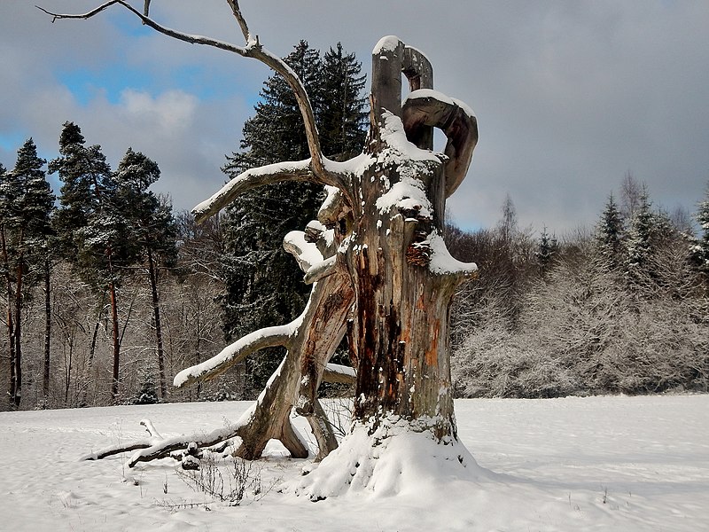 File:Der Künstler und Holzbildhauer - Thomas Rappaport, Aktion "Baum-Spiel-Raum", die 300 Jahre alte Eiche im Rotwildpark als Kunstobjekt – Der Baum bleibt als Kettenglied erhalten - panoramio (3).jpg