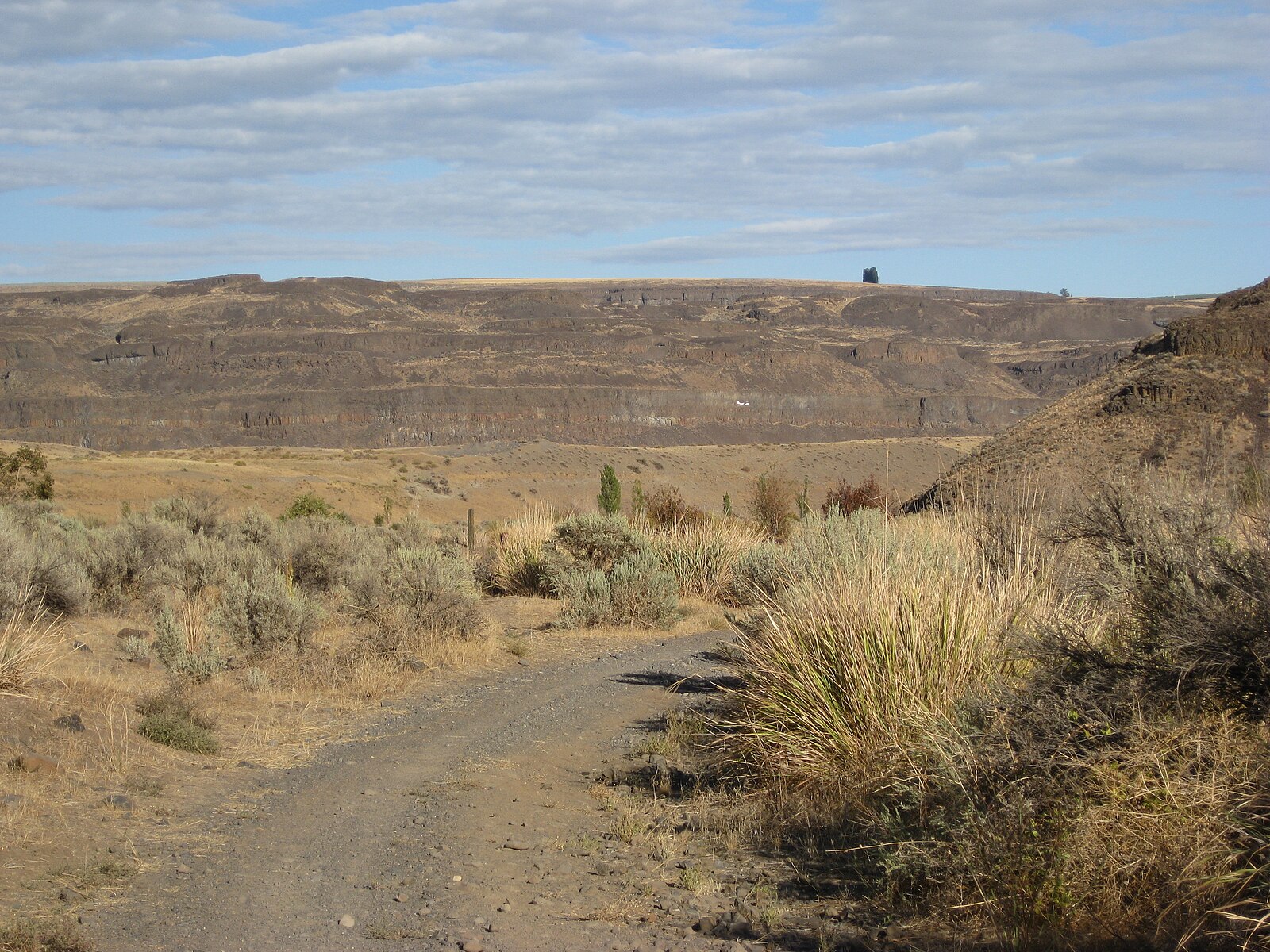 Like desert. Село Саина Шапагатова. Desert Washington. State of Desert. Вашингтонская Пустошь картинки.