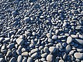 The pebble ridge at Westward Ho! beach.