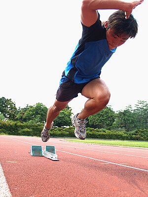 Atletica Leggera Velocità: Partenza, Problematiche della velocità, Record mondiali