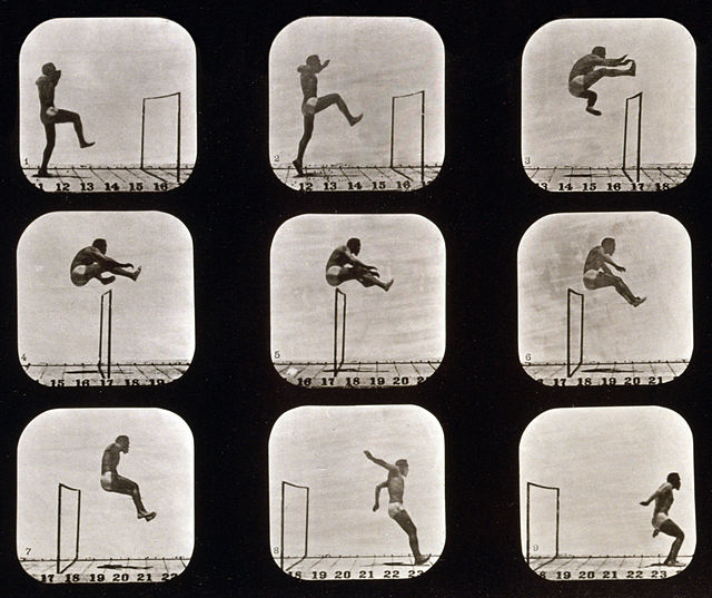 Eadweard Muybridge was interested in what closely-spaced sequential photography could show about motion; his works blur the line between science and a