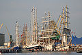 The Tall Ships' Races, Szczecin 2007