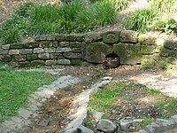 Alder fountain