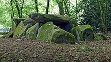Photographie d'ensemble du dolmen.