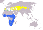 Güneybatı, orta ve doğu Avrupa ve Afrika